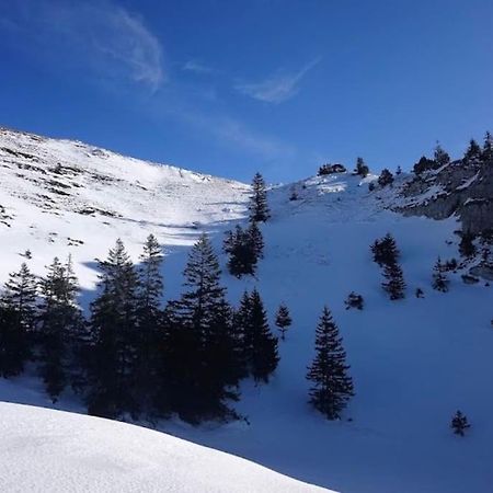 Nice And Cosy Flat Near Geneva Or Annecy Bellegarde-sur-Valserine Extérieur photo