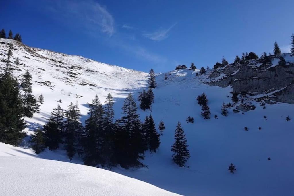 Nice And Cosy Flat Near Geneva Or Annecy Bellegarde-sur-Valserine Extérieur photo