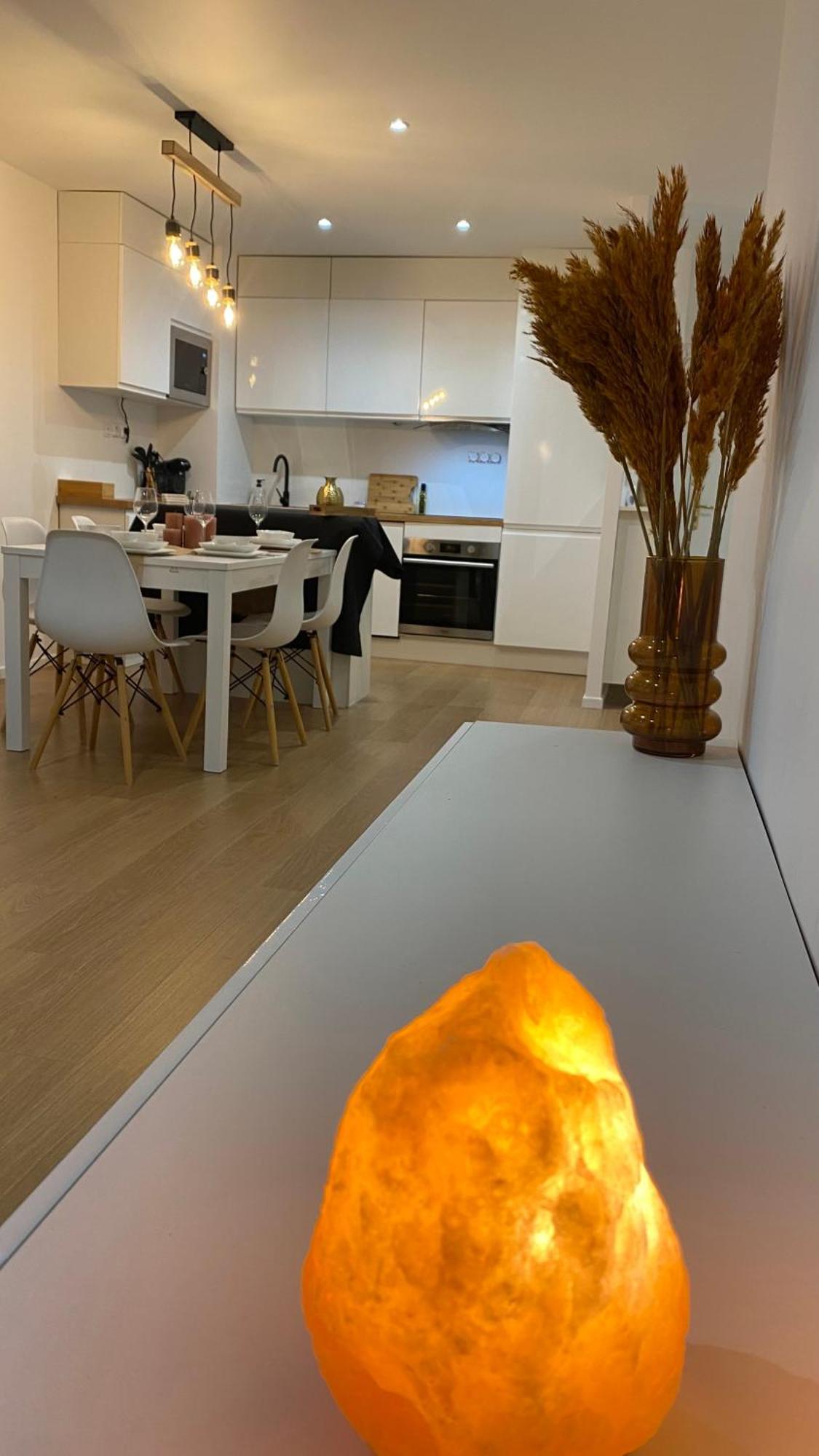 Nice And Cosy Flat Near Geneva Or Annecy Bellegarde-sur-Valserine Extérieur photo